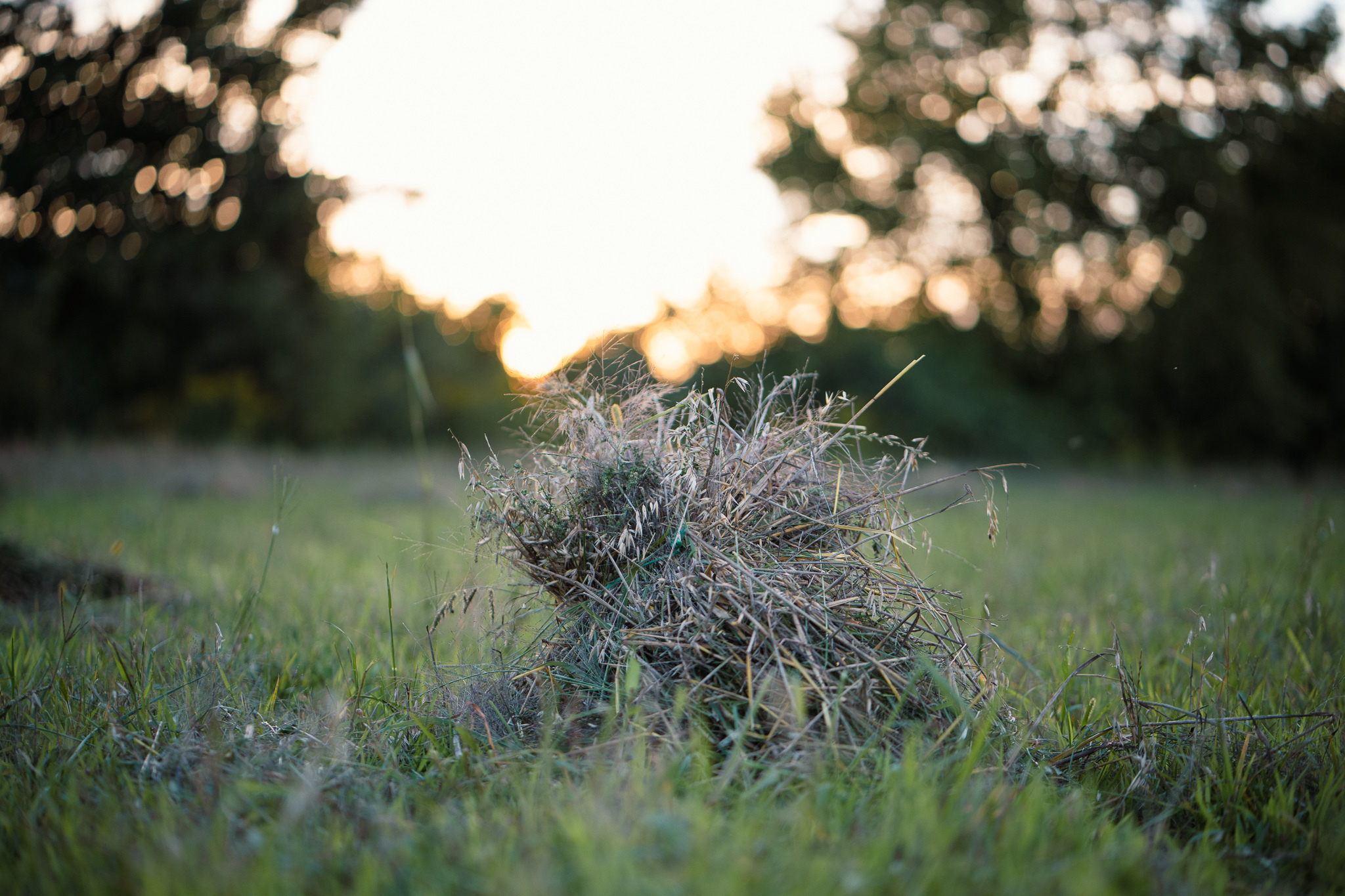 A Short but Snappy Playlist for August.