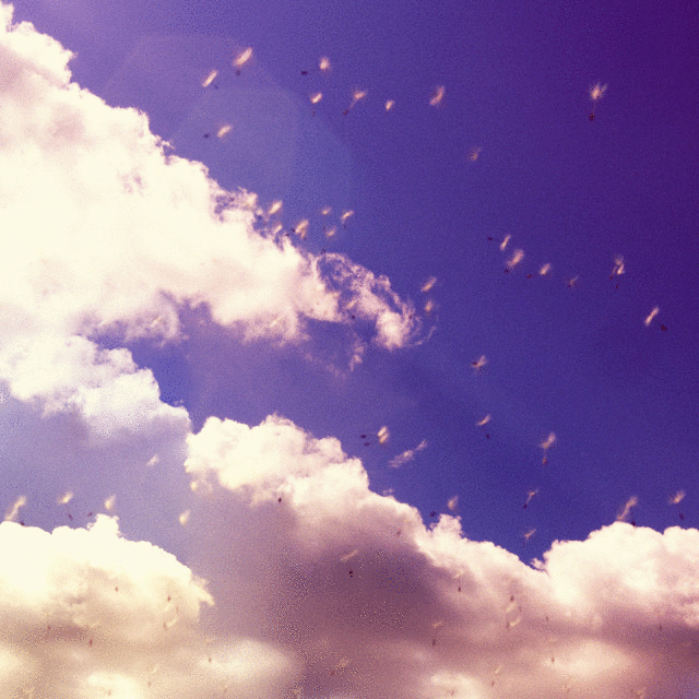 image for German Ambient Music Explores Life's Beauty. - AK: Floating into Space