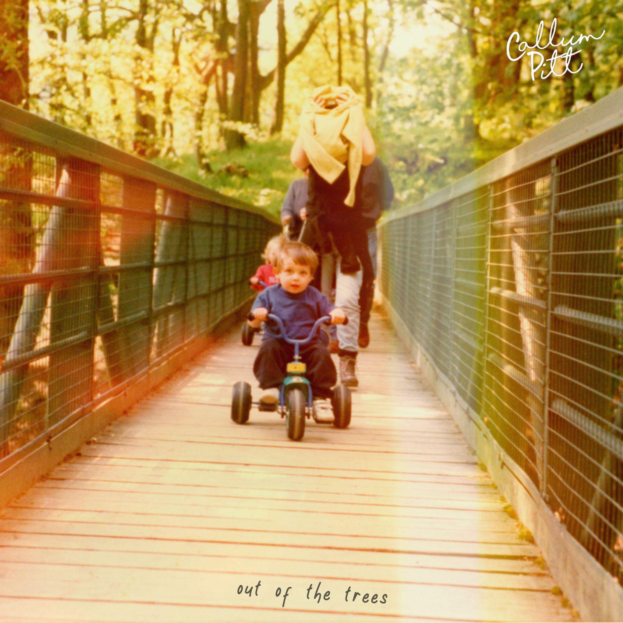 image for Energetic Folk Pop for Fans of Fleet Foxes. - Callum Pitt: Out Of The Trees
