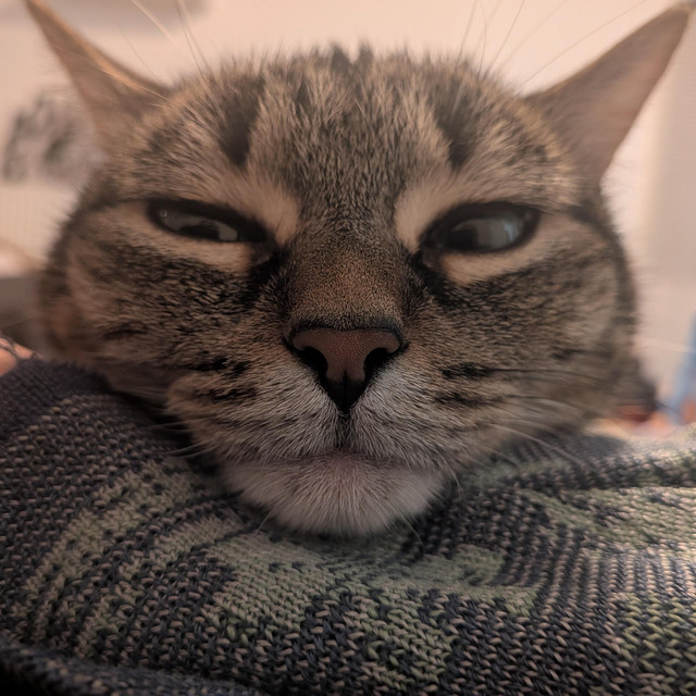 __wf_reserved_inherit