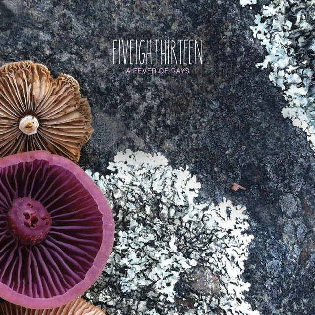image for Inspired Electronic Grooves from New Hampshire. - fiveighthirteen: early winter late day sun