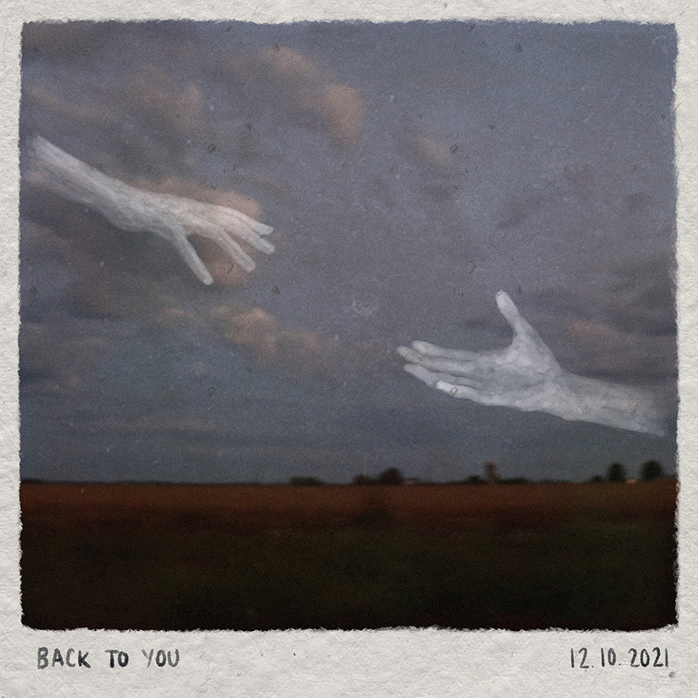image for Haunting Folk Pop from Canada. - Introducing Flower Face: Back To You