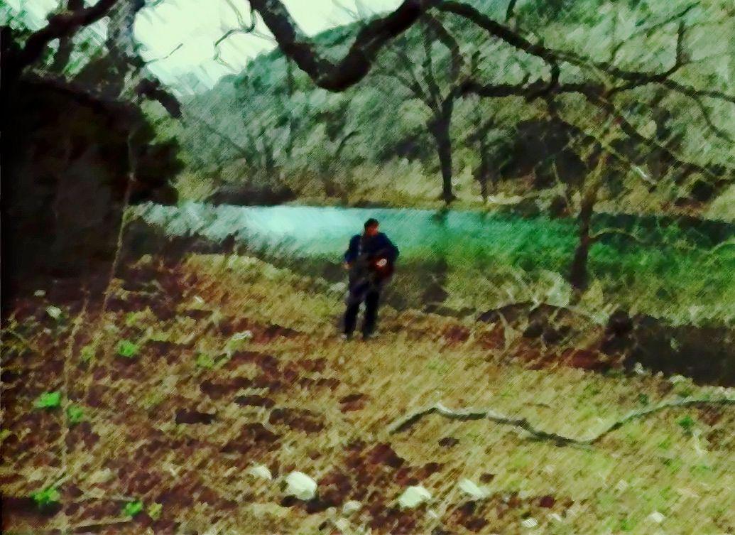 Americas Troubadour. - Franc Cinelli: Fly
