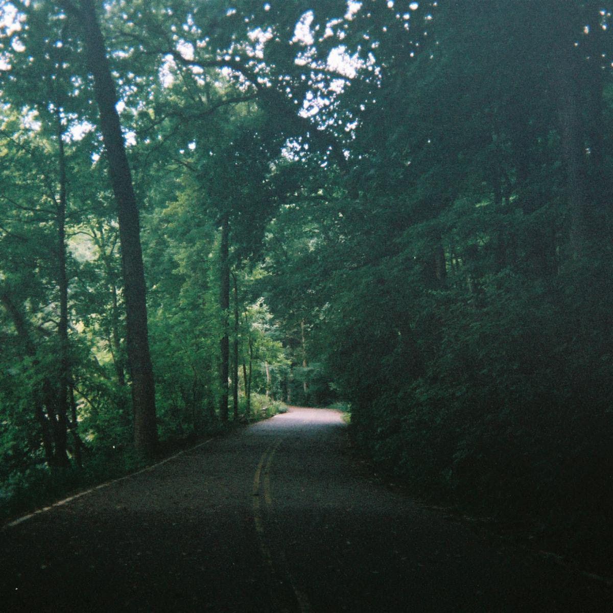image for Stripped Down Electro Pop from Los Angeles for Fans of Death Cab for Cutie. - gnash: leave