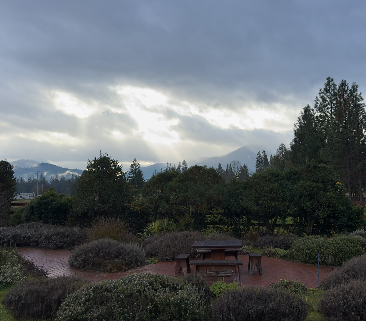 Happy New Year from CHILLFILTR®