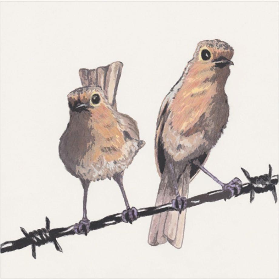 How Great Were the Robins - Rewind