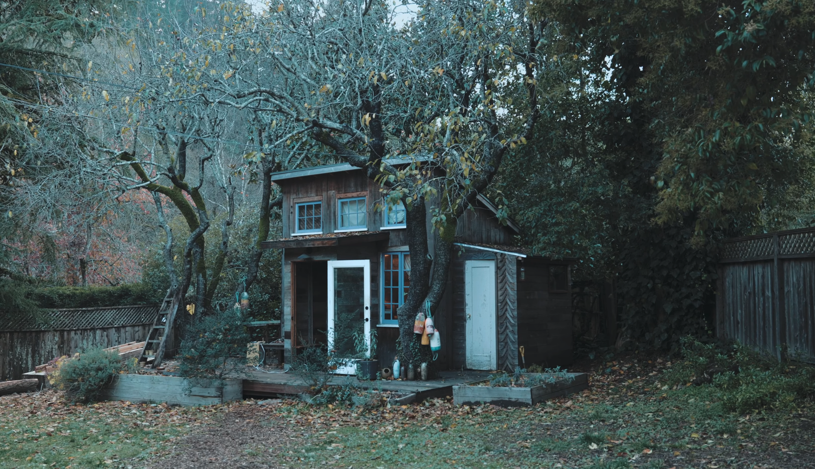image for Tracked Live from a Tiny House in Northern California. — Joe Kaplow: Tunnel Vision