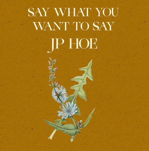 image for Canadian Songwriter Vows to Carry the Adventure Forward. - JP Hoe: Say What You Want To Say