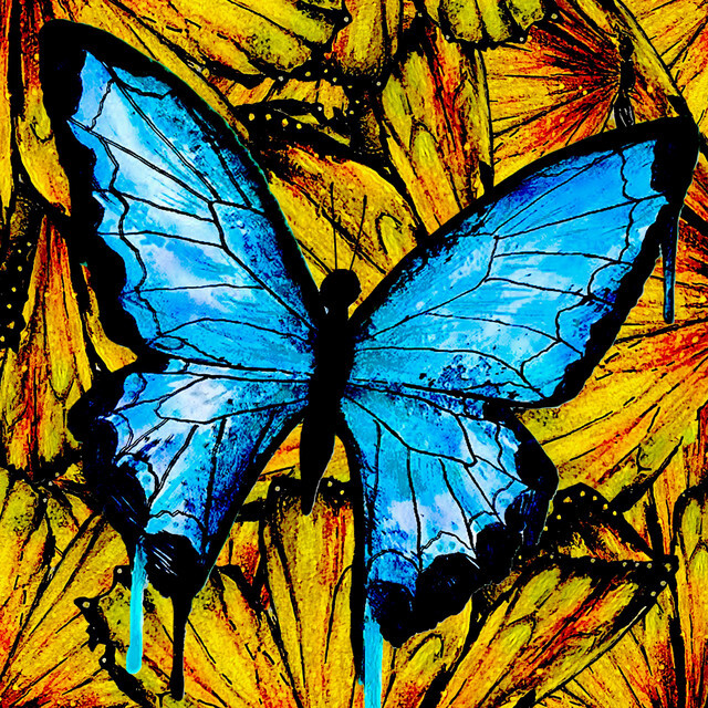 image for Philly YouTube Star Drops Catchy Love Song. - KID TRAVIS: Butterflies