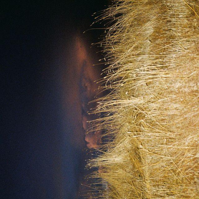 image for Inviting Folk Pop from Nashville. - Max Helgemo: Uncovered