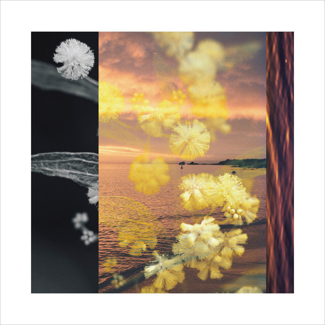 image for Blissful Folk Music FFO Hollow Coves. - Michael Dunstan: Walk The Streets On Sunrise