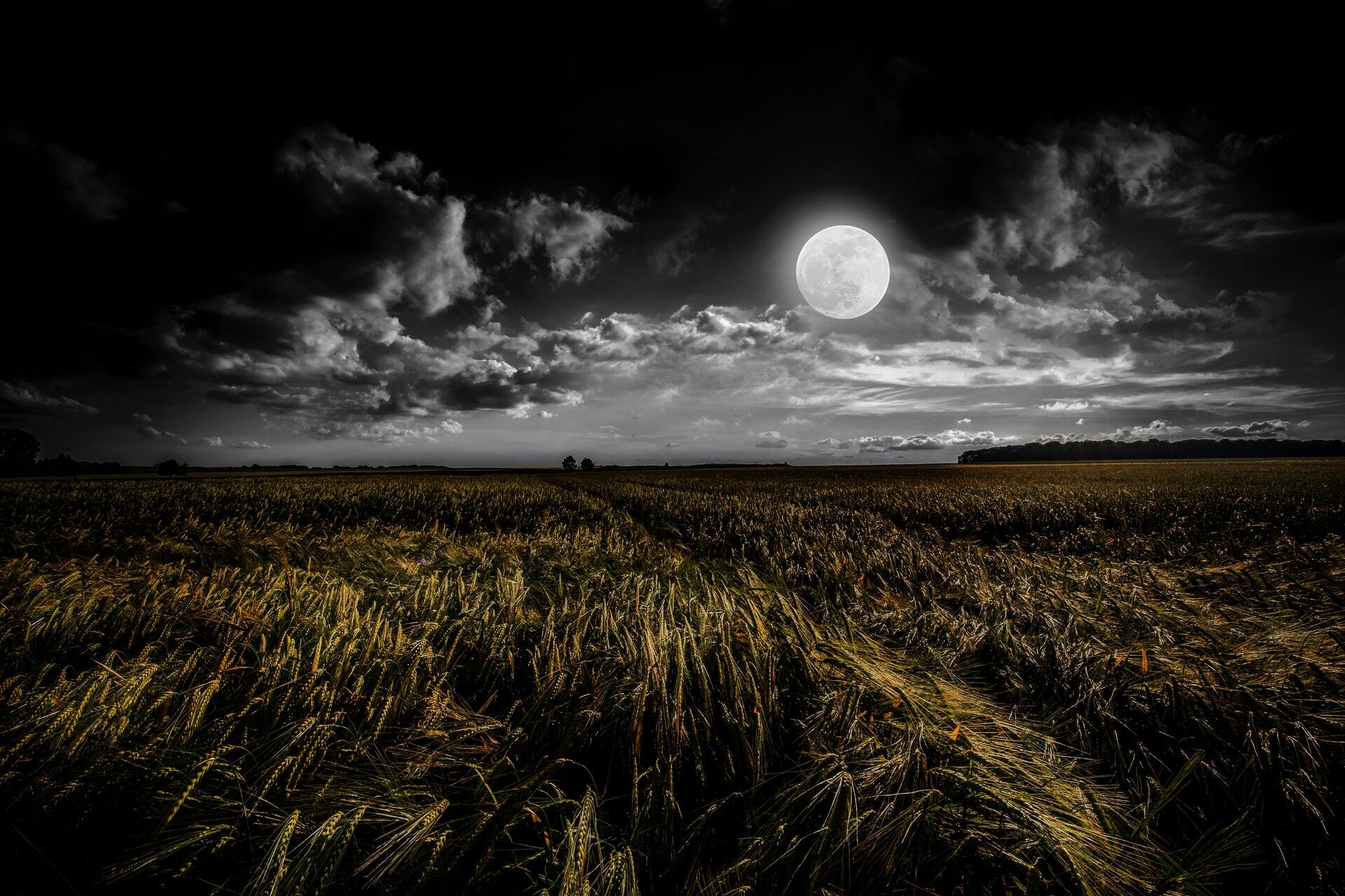 Moon Madlings