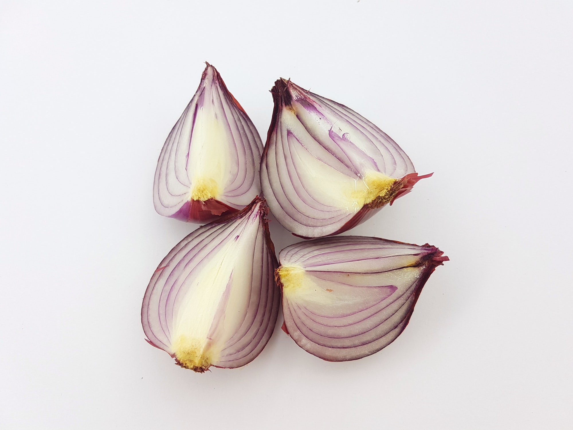Onion