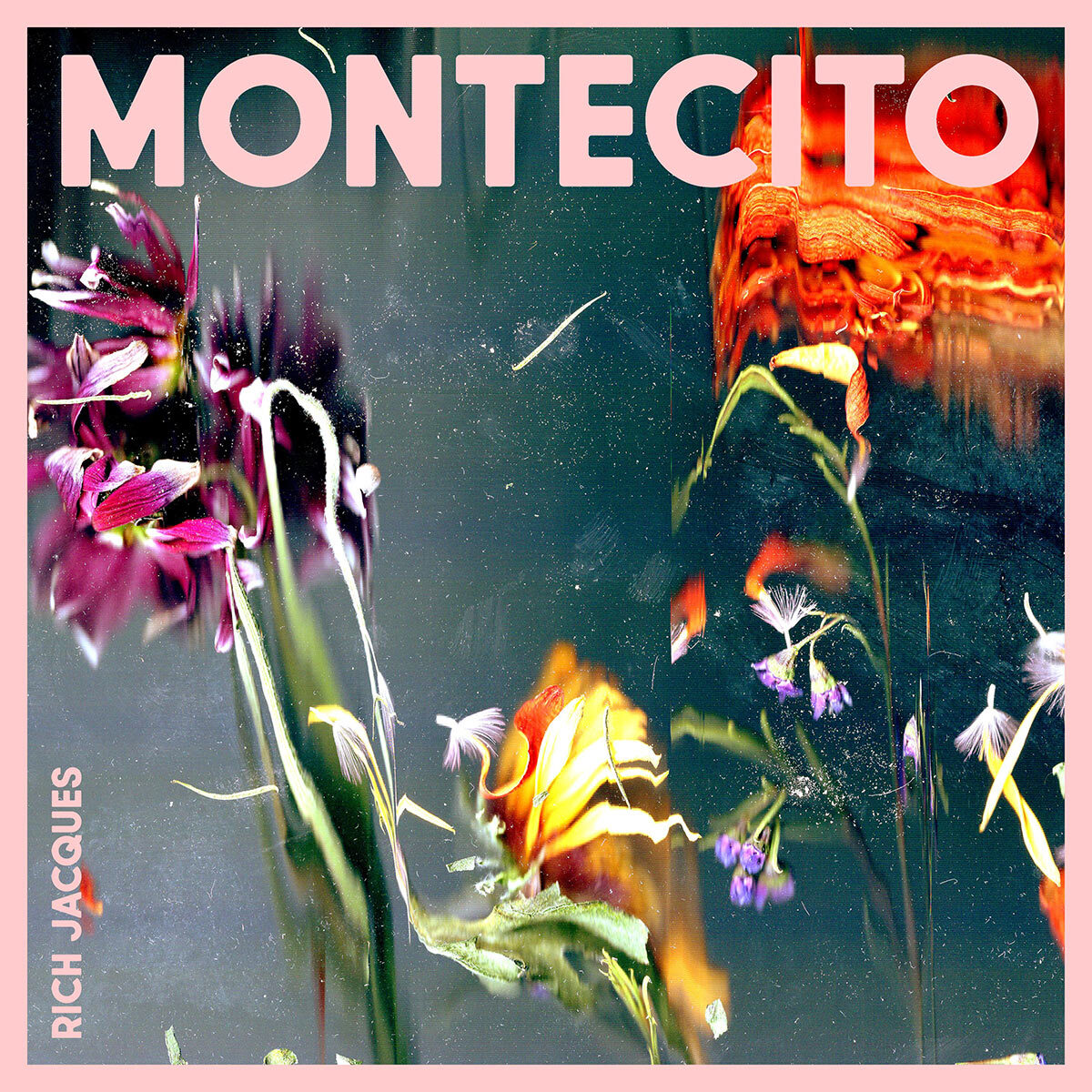 image for Grammy Winner Pays Intimate Tribute to the California Coast. - Rich Jacques: Montecito