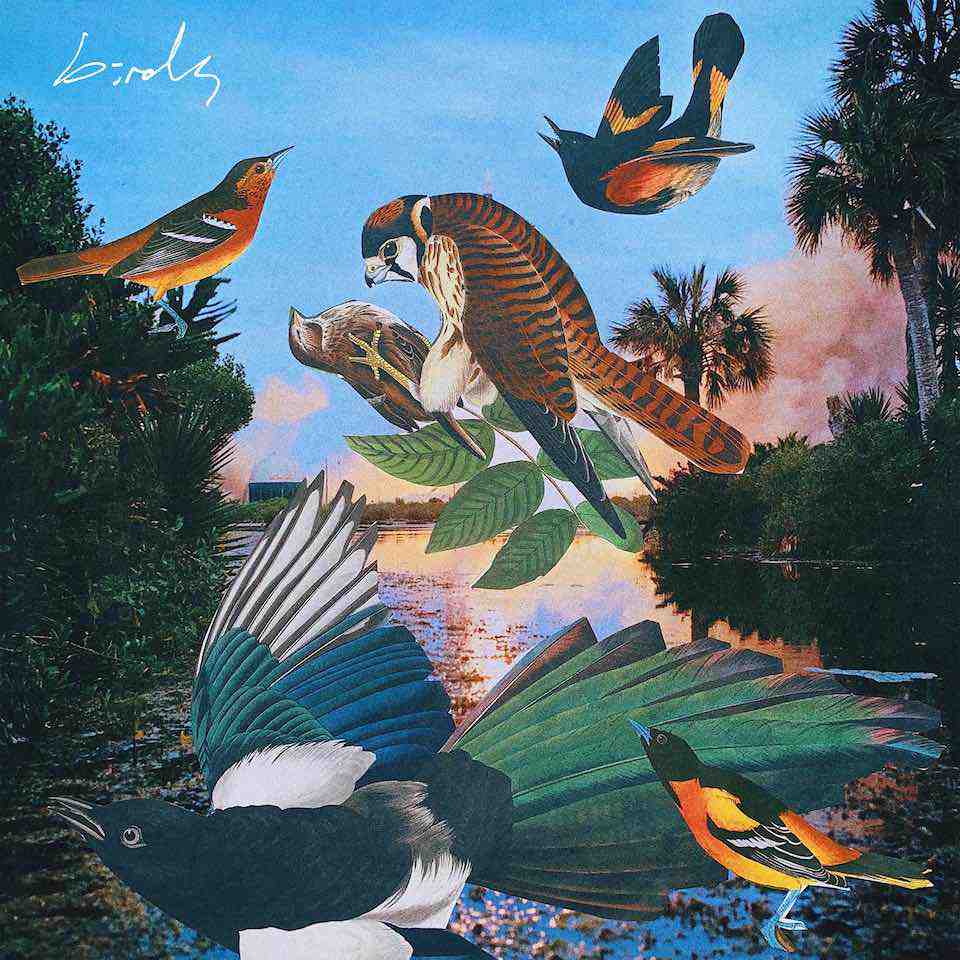 image for Vulnerable Folk Pop for Fans of Deerhunter. - Simen Mitlid: Birds