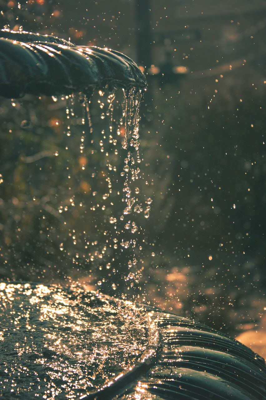 Slow Motion