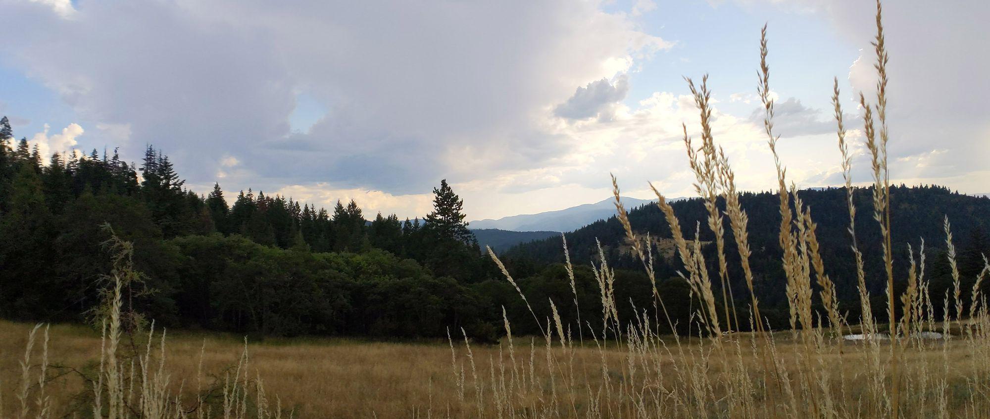 image for Southern Oregon is Truly Gorgeous