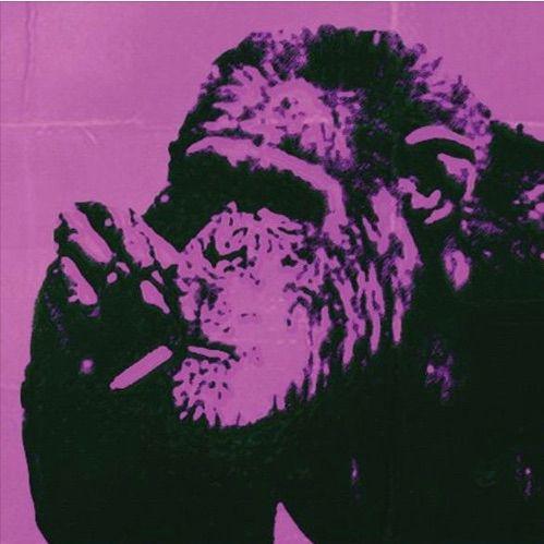 The Compensators - Love Drags