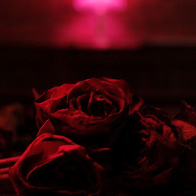 image for The Paper Kites - By My Side (feat. Rosie Carney)