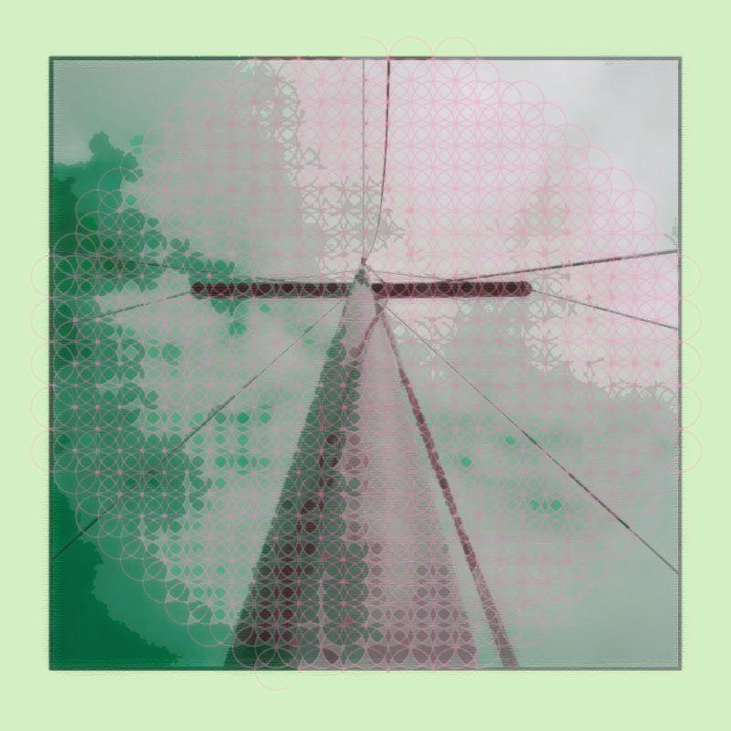 TORTIE - Voyage